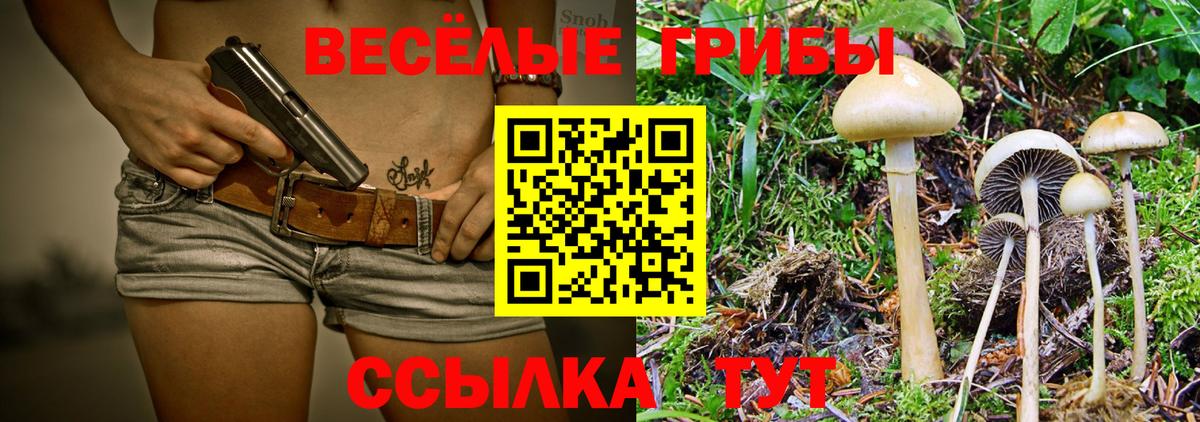 Сургут  Псилоцибиновые грибы MAGIC MUSHROOMS  Вход с VPN 